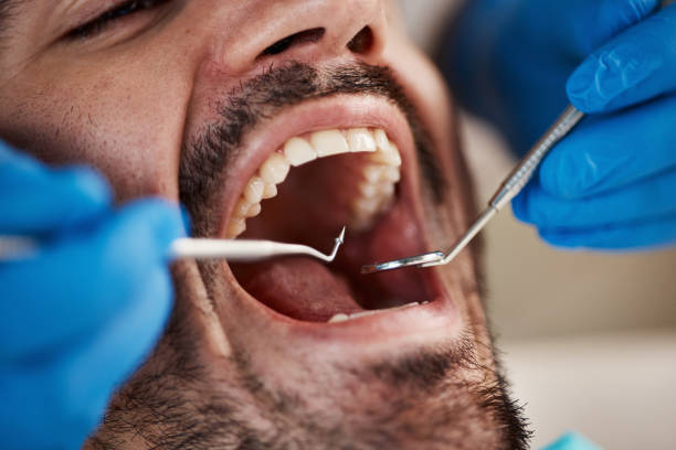 Best Emergency Cosmetic Dentistry in Carleton, MI